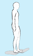 gimnastika11.png